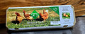 SRS Benetook Farms Free-range Eggs — 1 Dozen